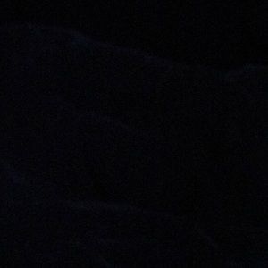 Meet your Posher, Adrienne